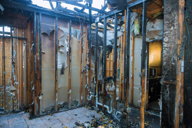 Professional Fire Damage Removal technician working in Wellsville, OH